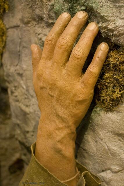 Sieht alles sehr naturgetreu aus, besonders die Hand.