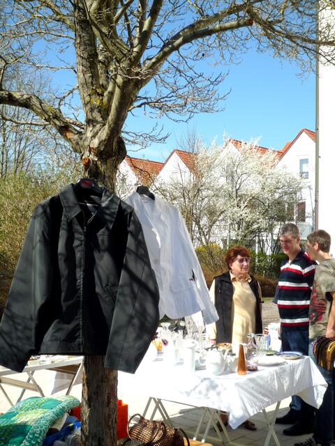 3. April und die frühen Kirschen blühen in geschützter Lage
