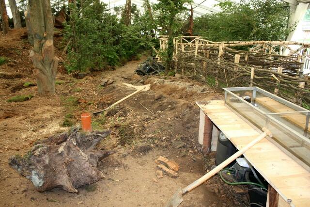 07.06. Abbau des Bachs