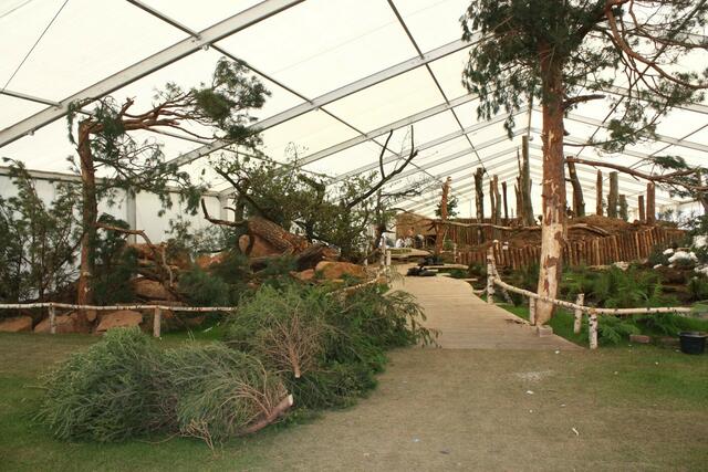 08.06. Im Dioramazelt