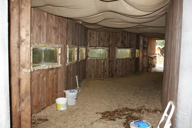 07.06. Abbau der Aquarien