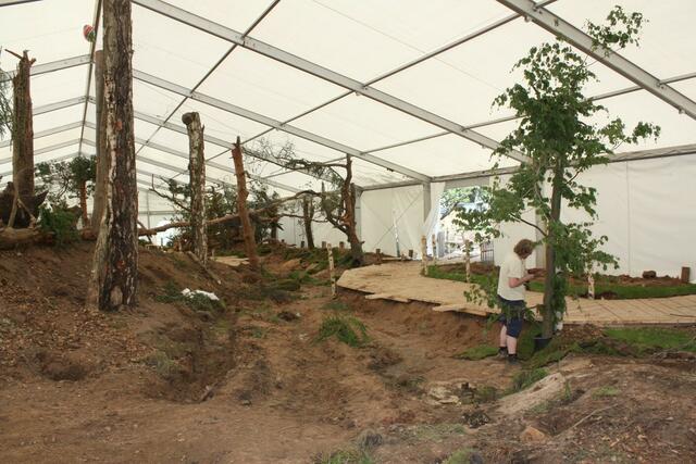 08.06. Ausräumen des Dioramazelts