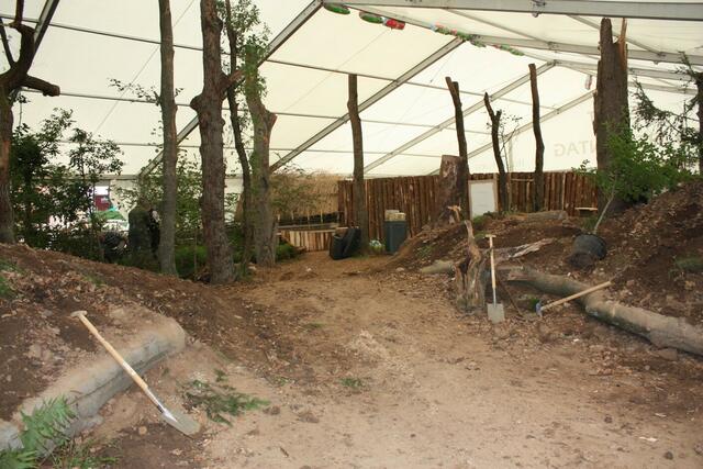 07.06. Blick ins Diorama