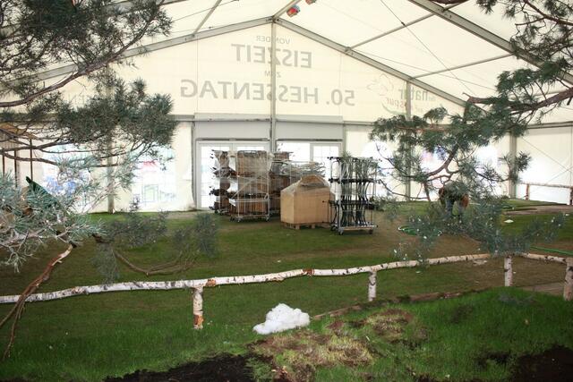 07.06. Rasen vom "grünen Restaurant"