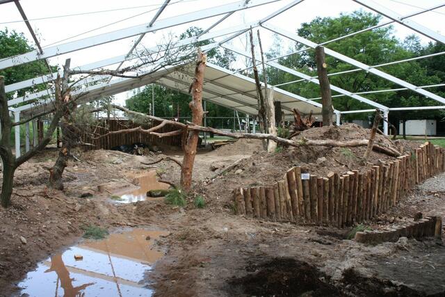 11.06. Reste vom Diorama