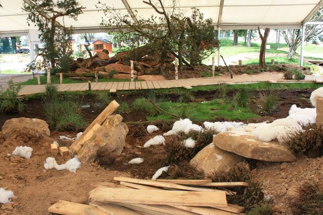 09.06. Reste vom Moor und der Eiszeitlandschaft