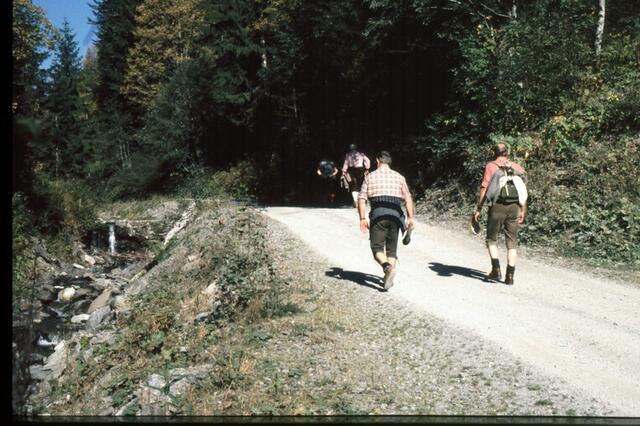Auf breitem Weg nach oben