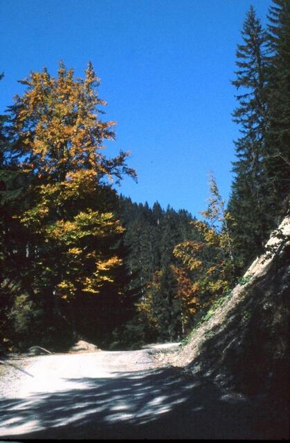 Wanderweg