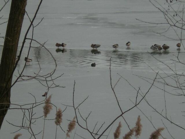 Vor 4. Wochen, war hier noch Eis.