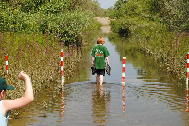 Bei Hochwasser im Orsoyer Rheinbogen