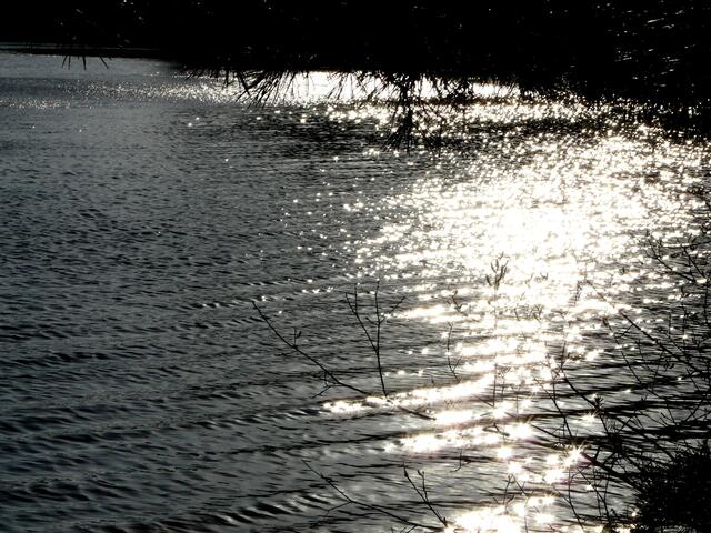 Sternenmeer - Der Würmsee. Ein zauberhaftes Funkeln und Glitzern tausender Lichtsternchen liegt auf dem See.