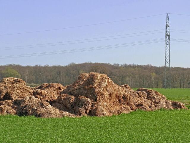Frühling zwischen Gaim und Bockmerholz