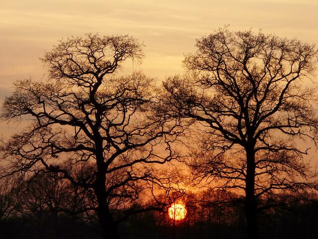 Der Sonnenuntergang am Montag, den 11. April.