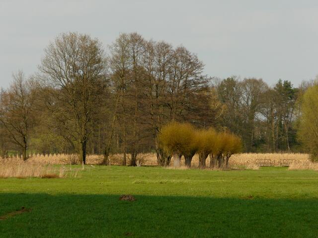 Licht und Schatten - "Sonnengrenze" in der Feldmark.