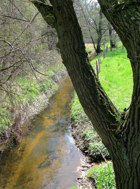 Schwarzwasser, weil man früher schmieriges Öl im Bach fand