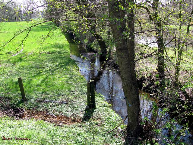 Schwarzwasser