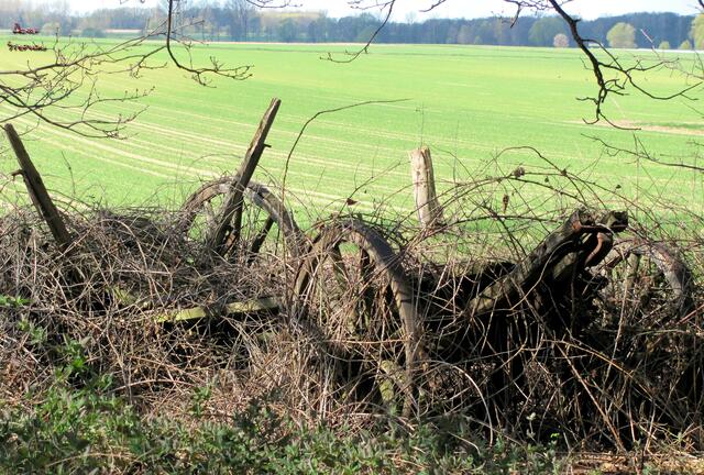 . . . . . Ackerwagen am Fissenberg