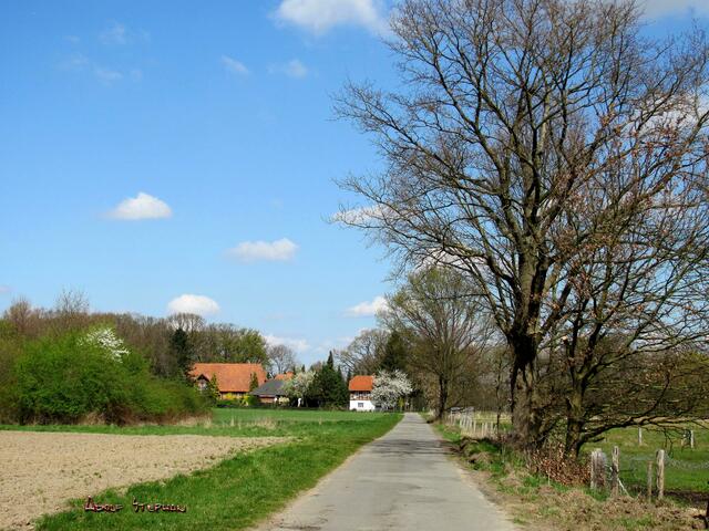 vor den Höfen bei Klein Edesse