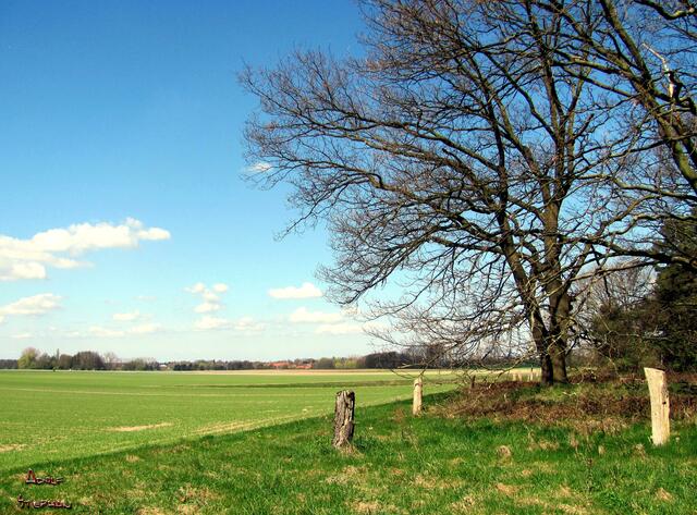 Blick vom Fissenberg nach Dollbergen