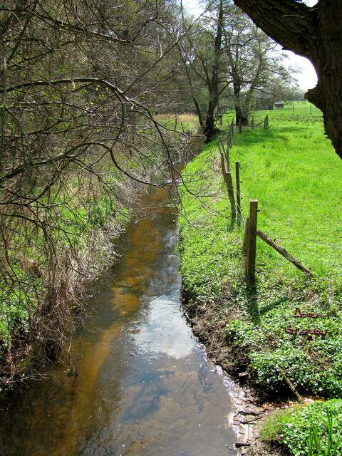 Bachverlauf des Schwarzwasser