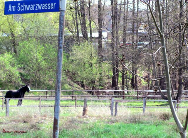 Wiesen im Tal des Schwarzwasser Baches