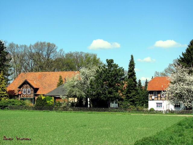 landwirtschaftliche Höfe