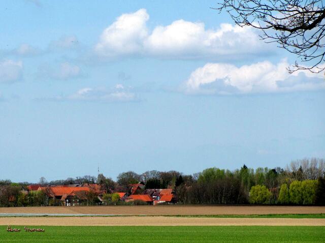 Dollbergen