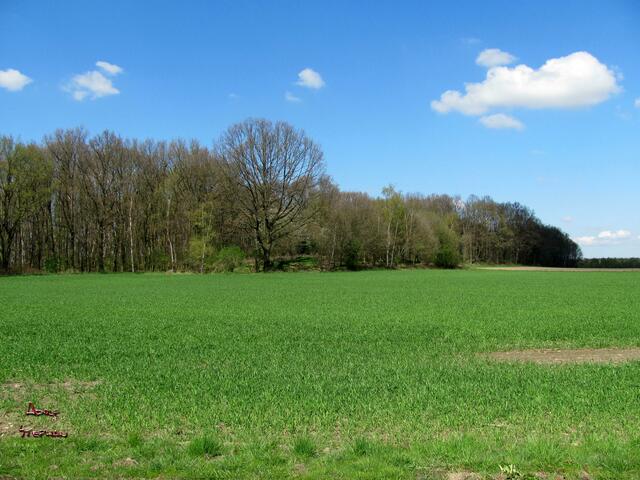 Anhöhe des Fissenberg