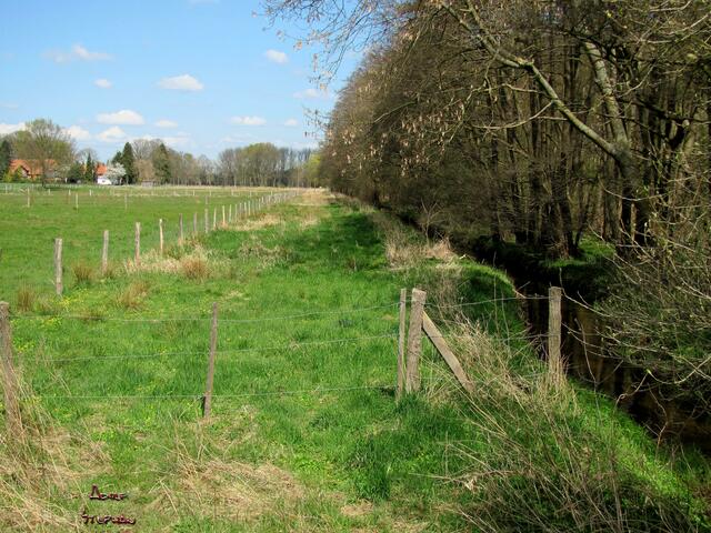 Schwarzwasser Niederung
