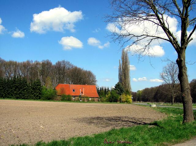 alter Hof
