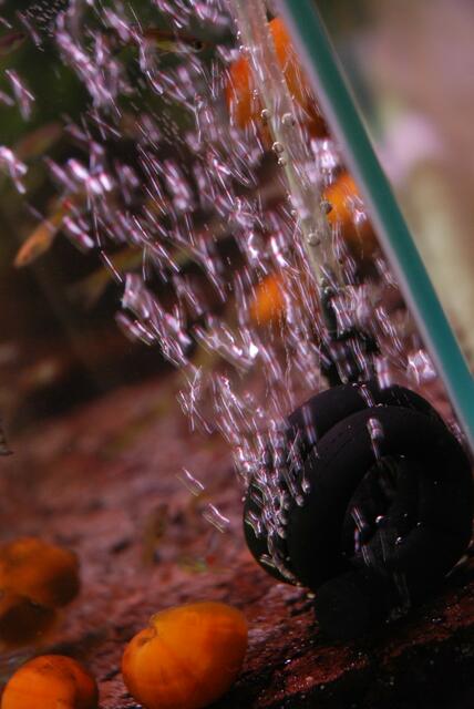 aquaterra 70 e.v.   10