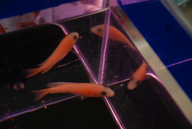 aquaterra 70 e.v.   07