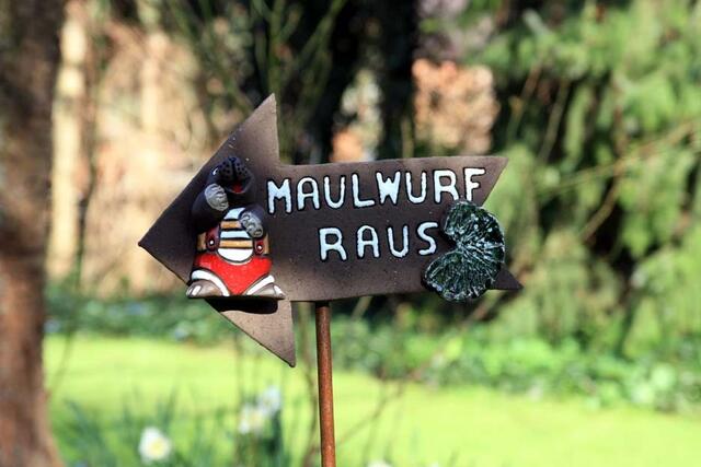 Der Maulwurf kann Lesen ..... ???