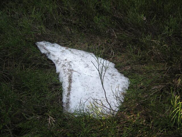 Restschnee