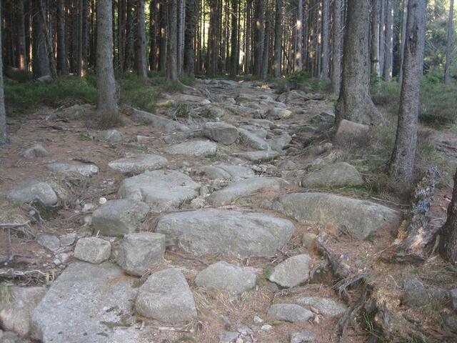 Auf dem Weg zum Leistenklippen