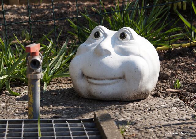 Bunte Frühlingsgartenwelt 2011 - Dekoration