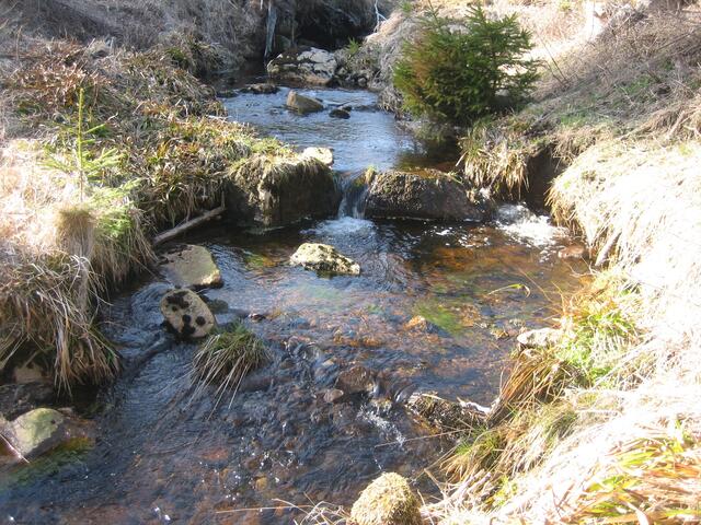 Bachlauf