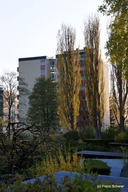 Bunte Frühlingsgartenwelt 2011 - Ausblick
