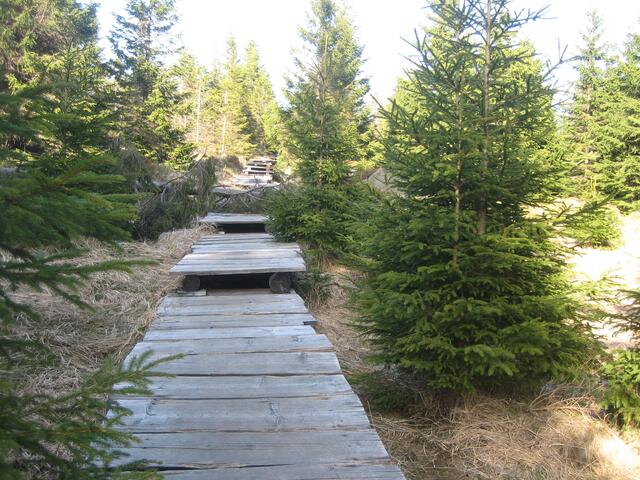 Auf dem Weg zum Leistenklippen, der Steg durchs Hochmoor