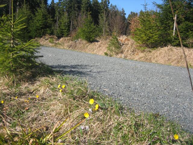 Wanderweg