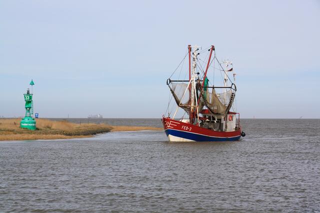 Einlauf in den Hafen von Fedderwardersiel