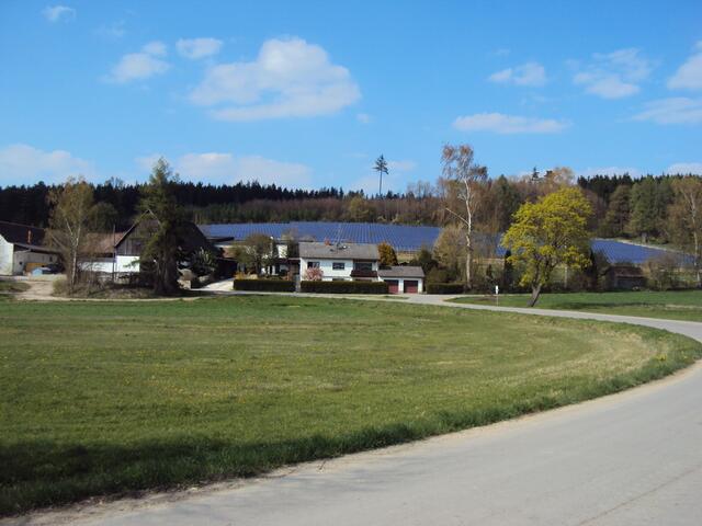 Solarpark im Hintergrund