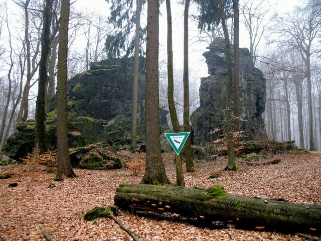 Wilhelmsteine versteckt im Schelderwald - Naturdenkmal