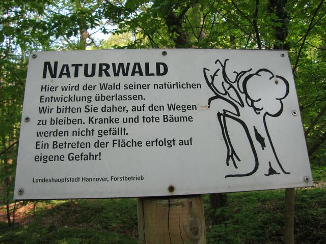 In diesen Gebieten darf der Wald natürlich sein. Außer eines Randstreifens an den Wegen, zur Sicherheit der Waldbesucher, wird nicht mehr in die Natur eingegriffen.
