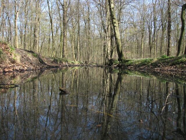 Die flache Kameraperspektive über dem Wasserspiegel täuscht. So breit ist der Graben nicht.