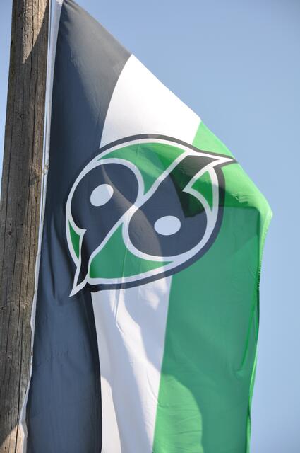 96 Fan - Flagge