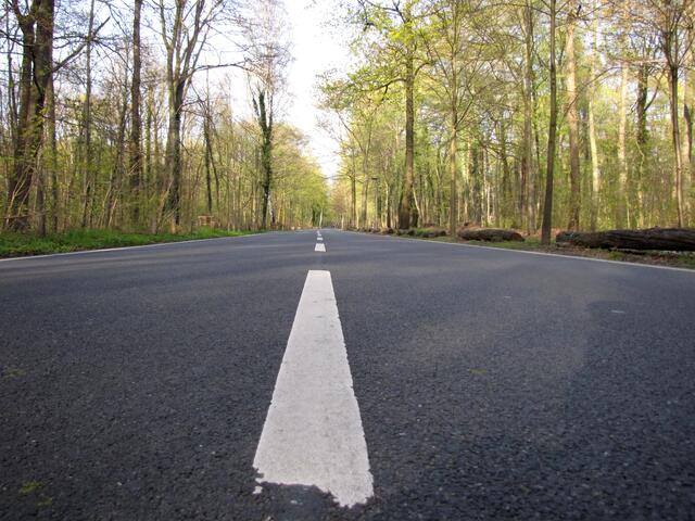 Vom Zoo nach Steuerndieb. Am Wochenende für den Verkehr gesperrt, gehörte diese Straße einst zum Eilenriededreieck. Vor über 100 000 Zuschauern wurden Motorradrennen veranstaltet. Gut, dass es das heute nicht mehr gibt.