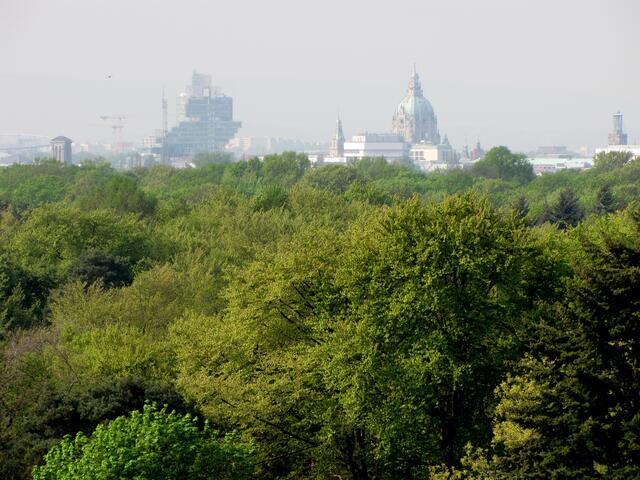 Bis an die City zieht sich der Stadtwald.