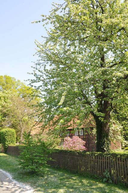 Oelerse im Burgdorfer Land