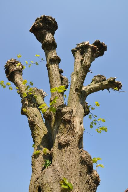 Impressionen aus Oedesse